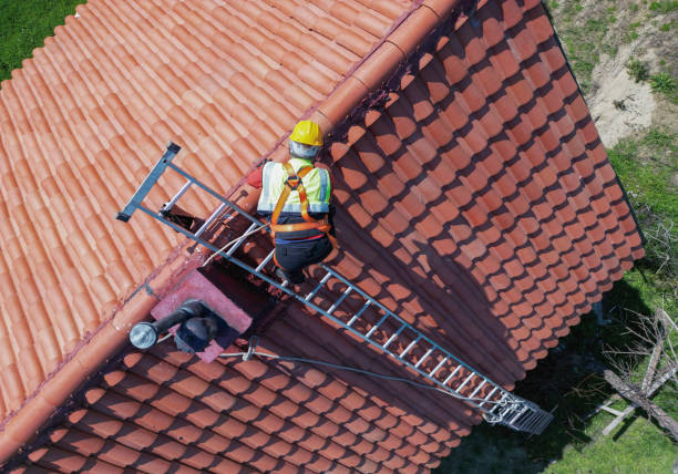 Best Roof Moss and Algae Removal  in Shorewood, MN