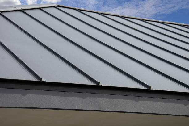 Best Roof Coating and Sealing  in Shorewood, MN